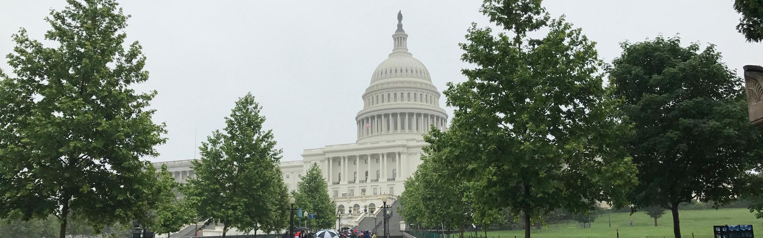 The Capitol Washington D.C.